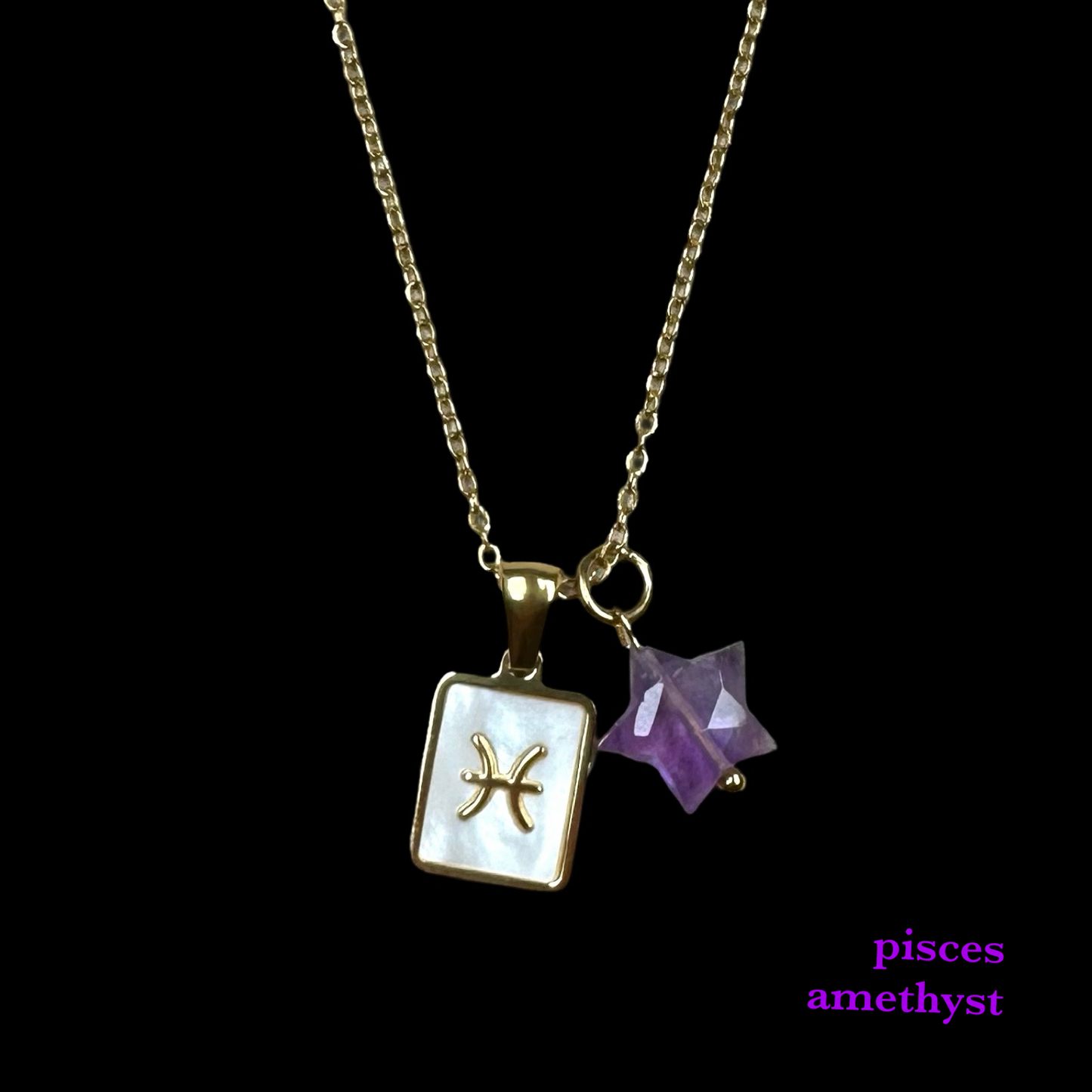 Zodiac Pendant Birthstone Necklace