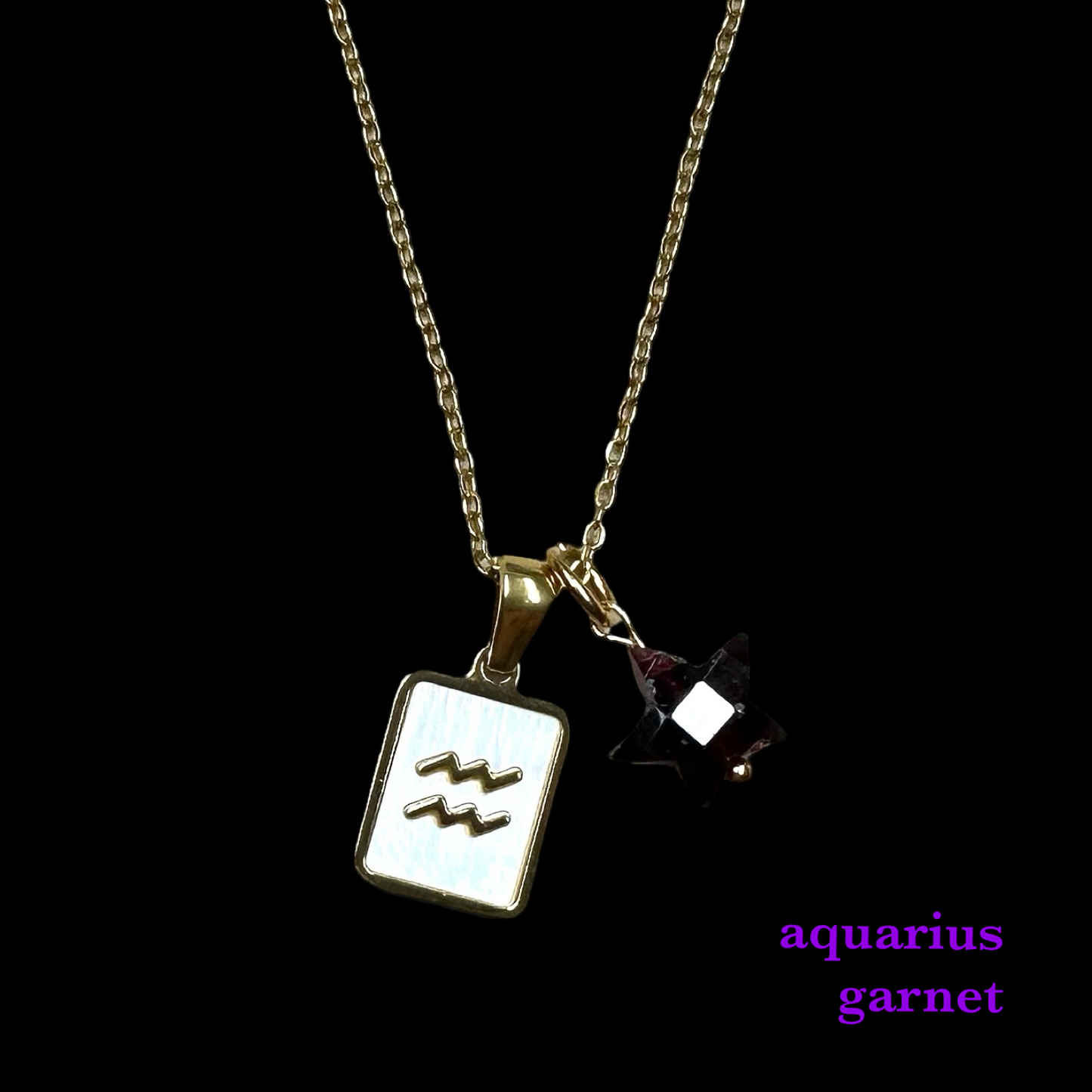 Zodiac Pendant Birthstone Necklace