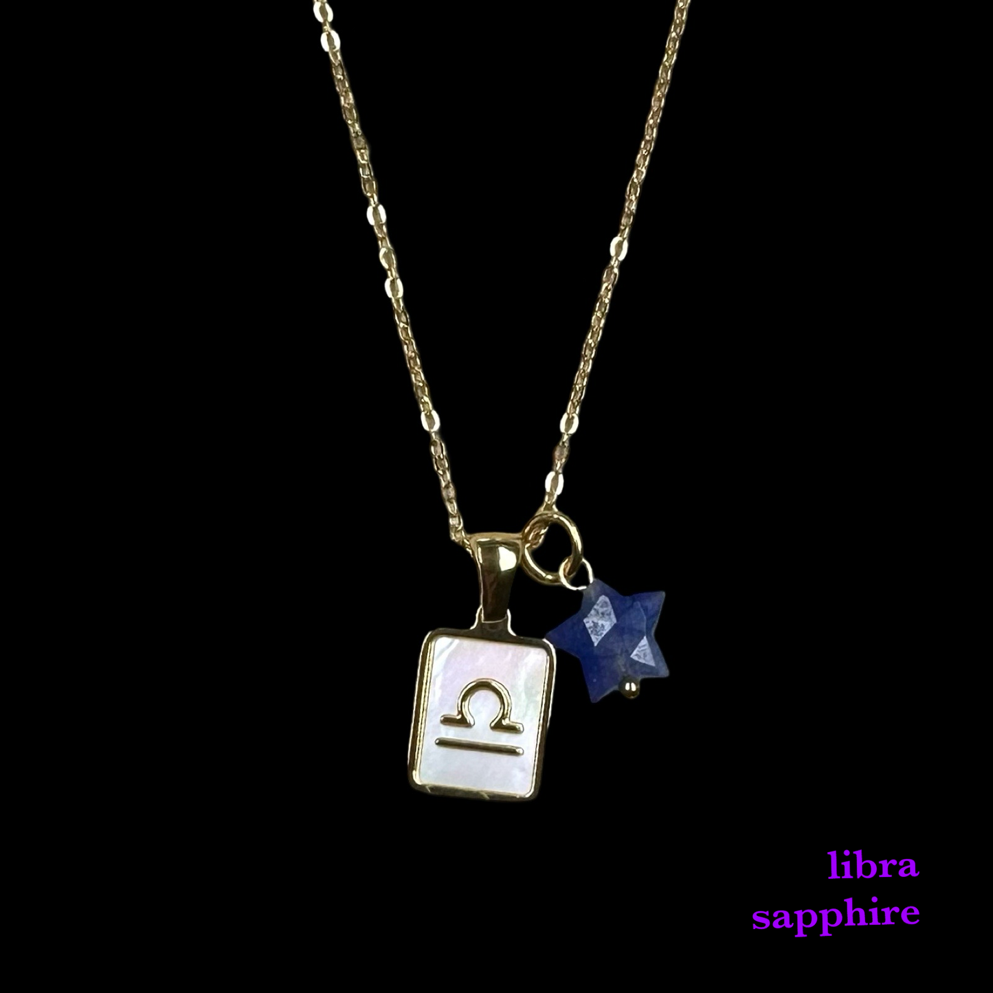 Zodiac Pendant Birthstone Necklace