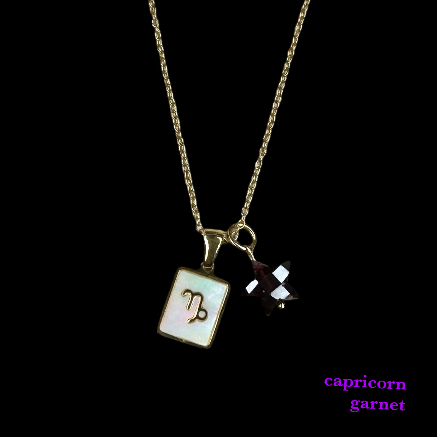 Zodiac Pendant Birthstone Necklace