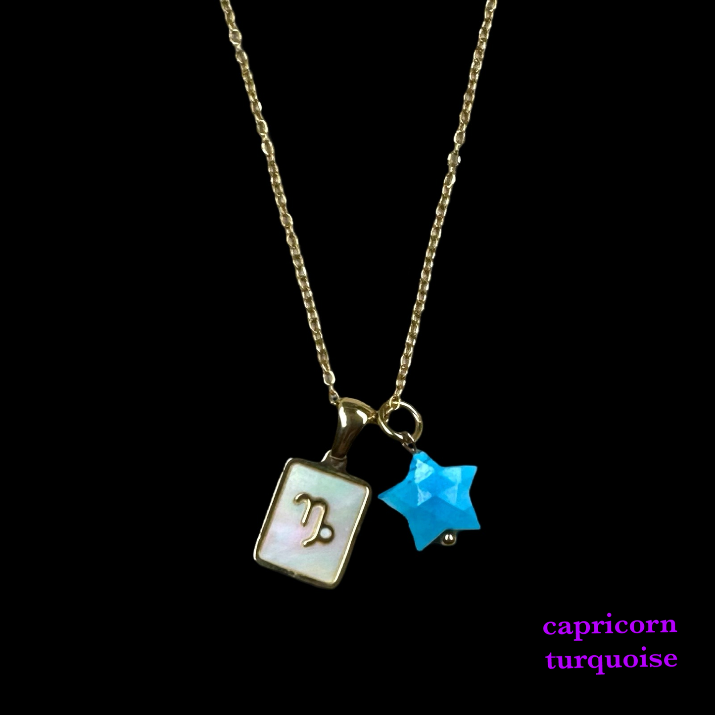 Zodiac Pendant Birthstone Necklace