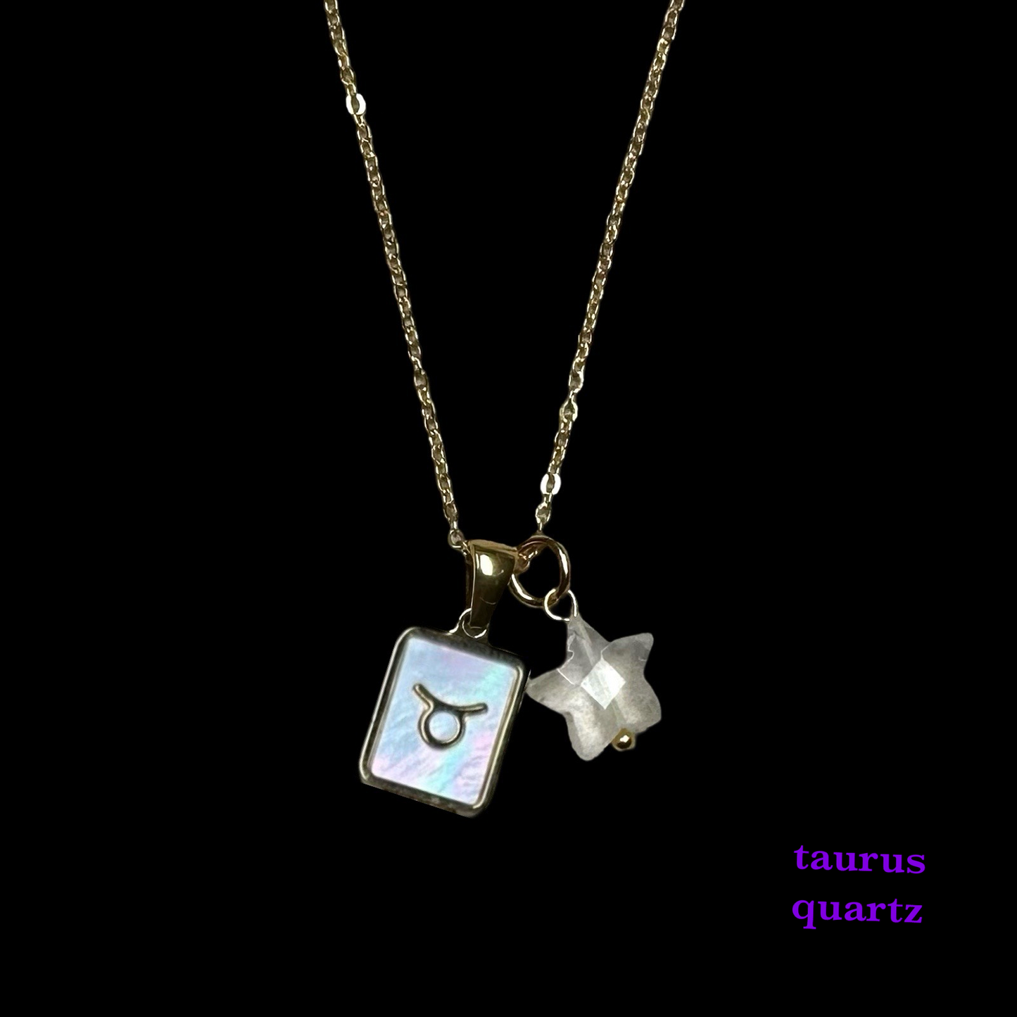 Zodiac Pendant Birthstone Necklace