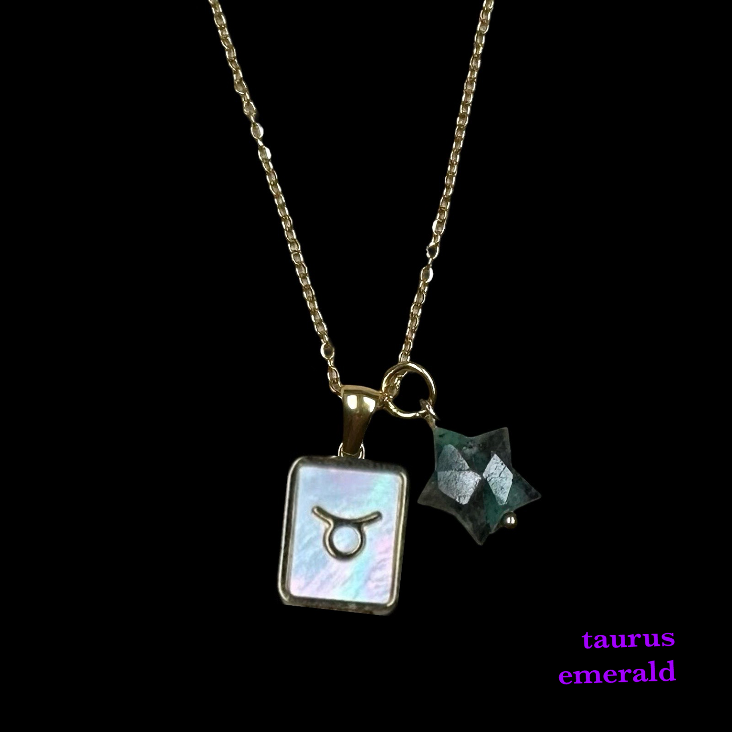 Zodiac Pendant Birthstone Necklace