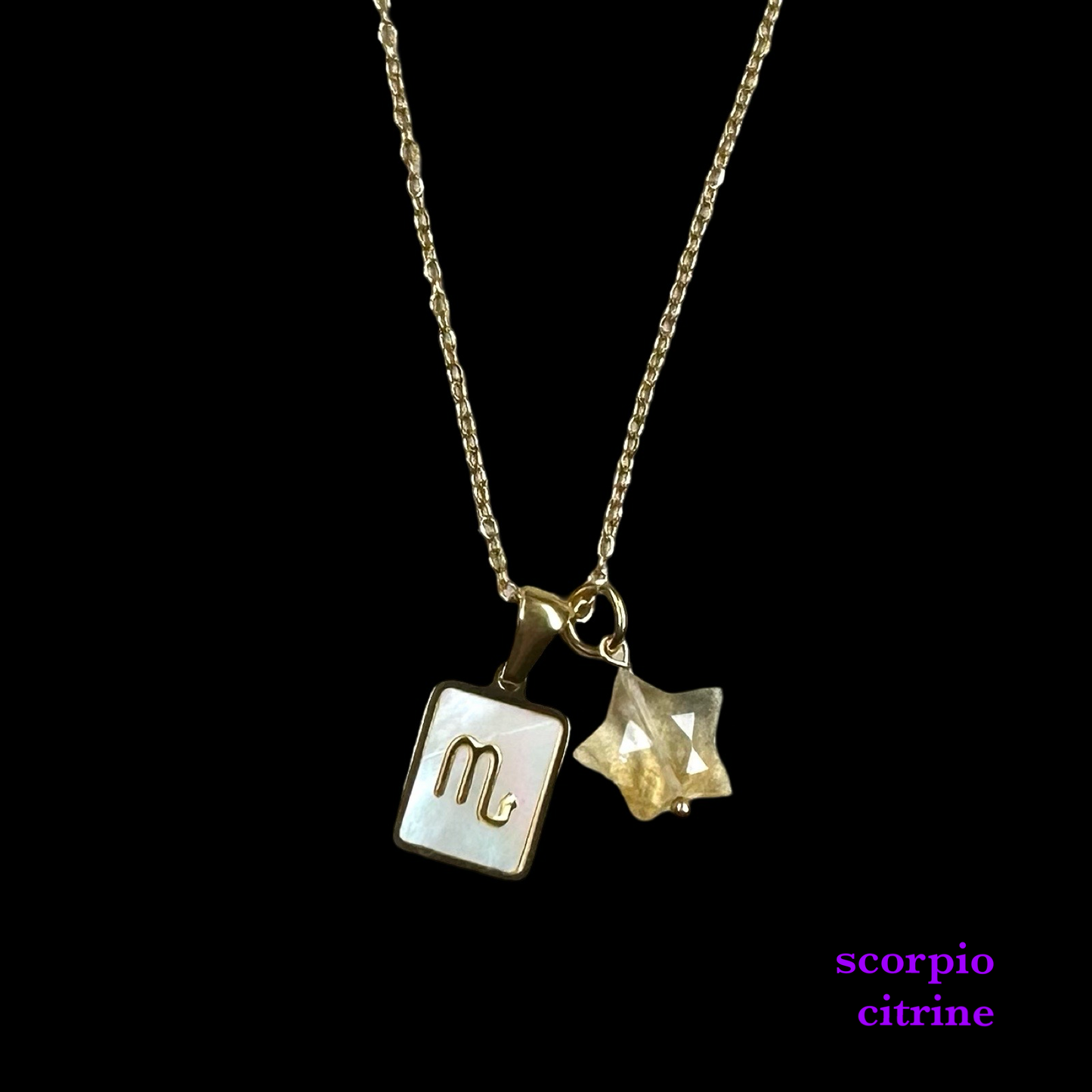 Zodiac Pendant Birthstone Necklace