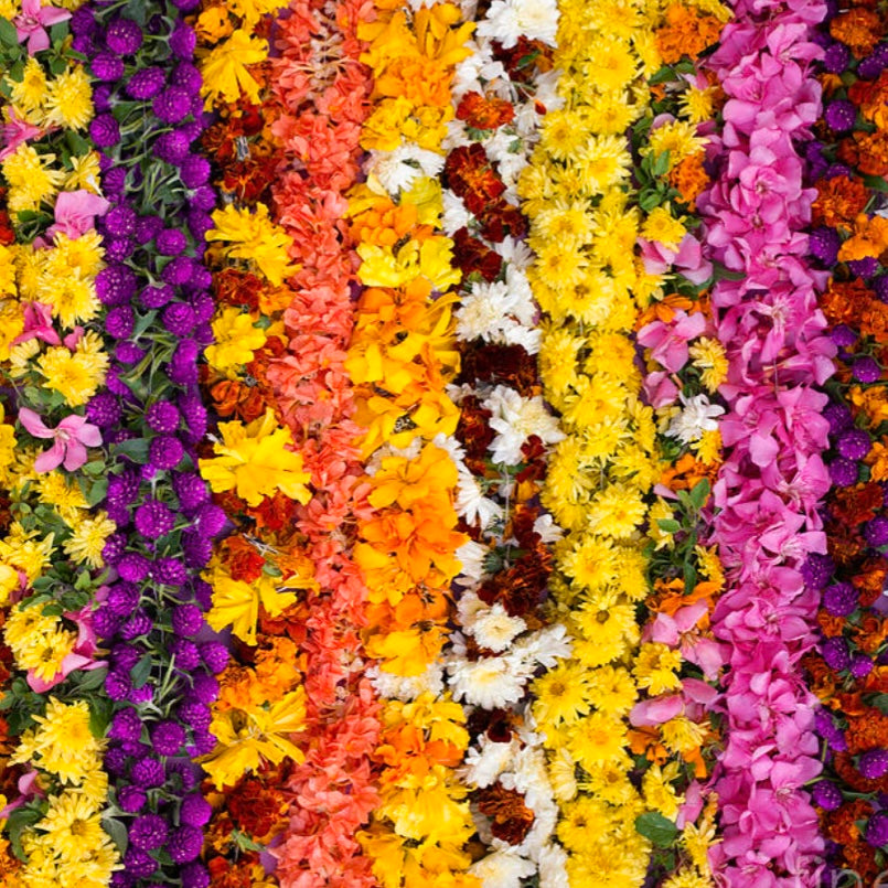 Solar Quartz and Opal Briolette Jaimala Necklace