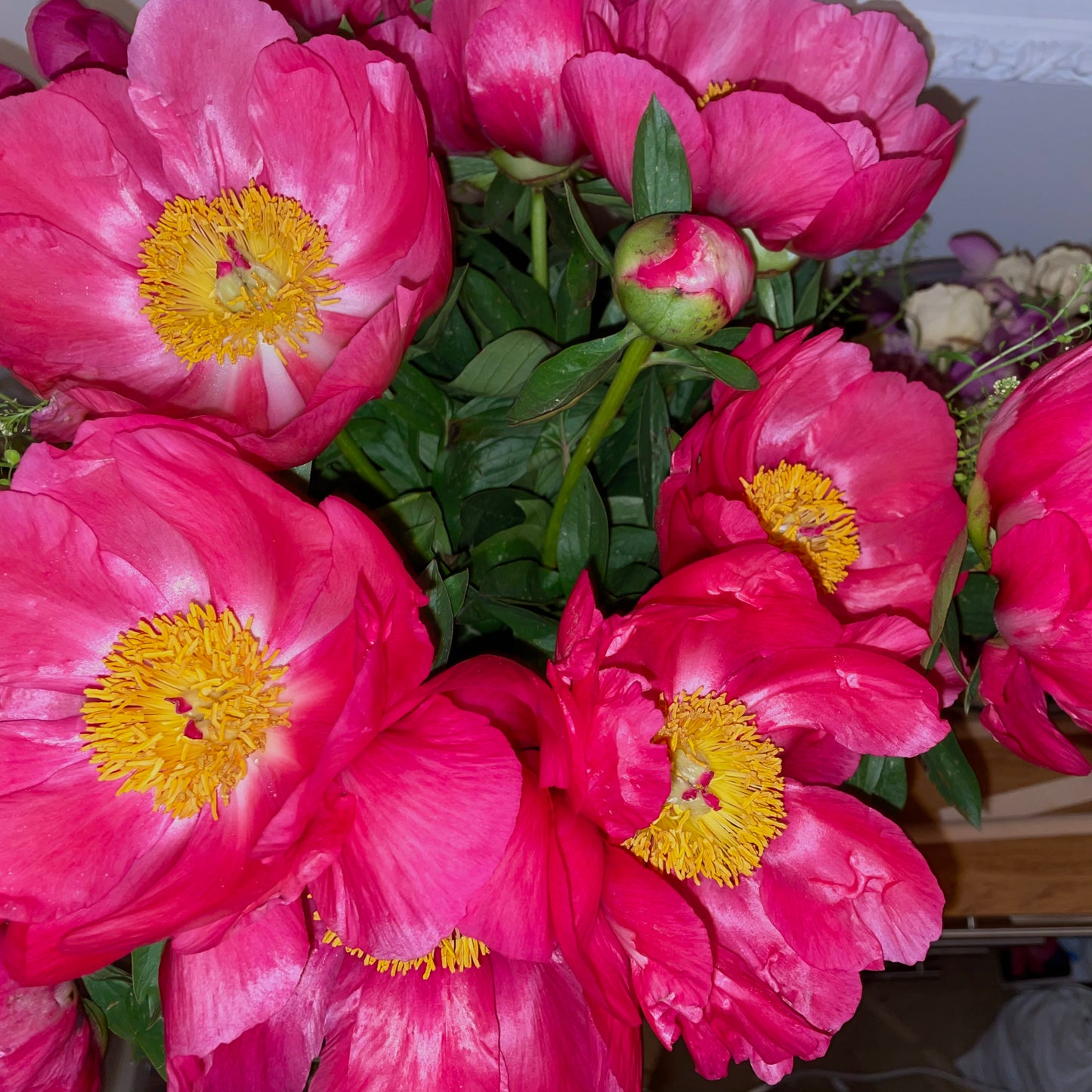Neon Pink Daisy Beaded Bracelet