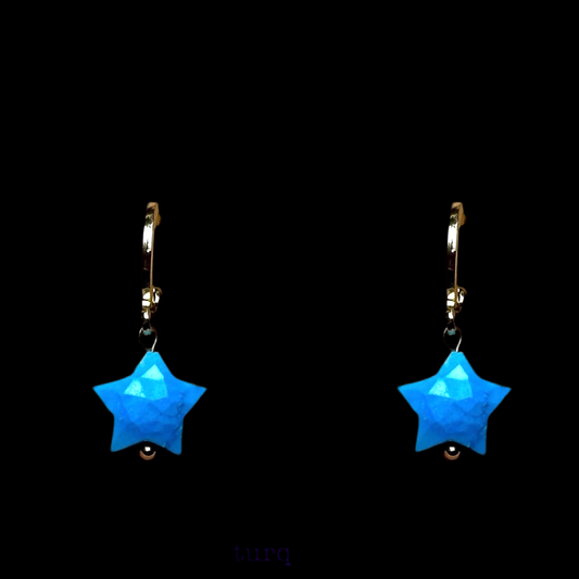 ‘A Star is Born’ Gemstone drop earrings